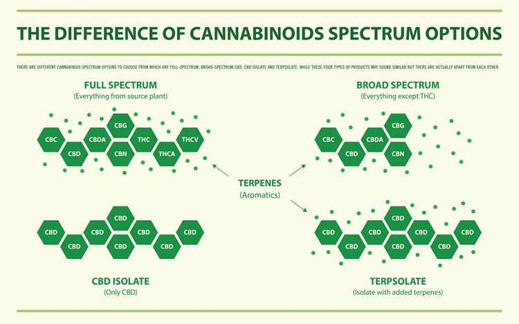 Kuvituksia kannabiksesta vaihtoehtoisina lääkkeinä ja kemiallisena hoitona, terveys ja lääketiede.