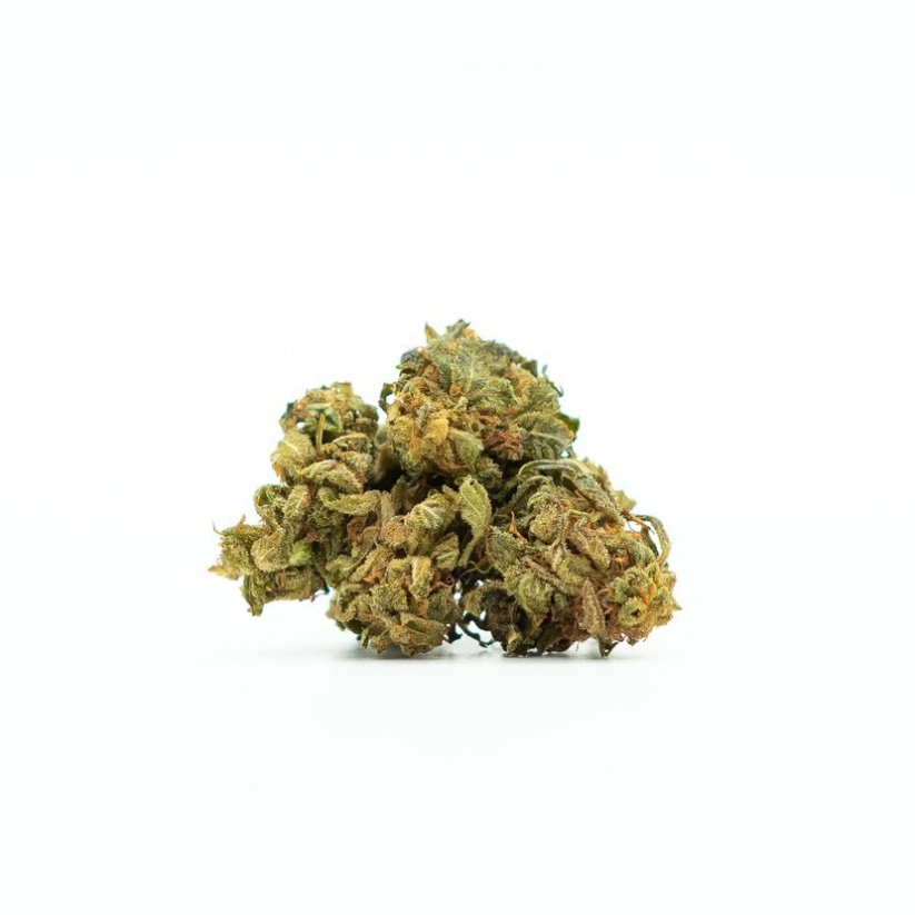 Цвете от Canalogy HHC Amnesia Haze 20 %, 1g - 100g