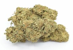 HHC Flower Amnesia Kush 40 %, 100g - 500g - 1000g - 1000g