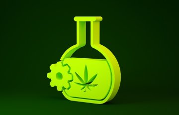 Symbol einer chemischen Röhre mit einem Cannabisblatt, was ist HHCPO