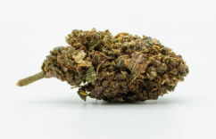 HHC Blomsterost 50 %, 1g - 50g