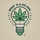 The bulb and inside the cannabis leaf, text above the bulb: What is 8-OH-HHC