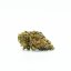 Canalogy HHC cvet jagoda 20 %, 1g - 100g