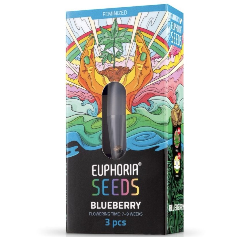 Euphoria Seeds Blueberry Feminiseret