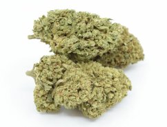 HHC Flower Tropical Kush 10 %, 100g - 500g - 1000g - 1000g