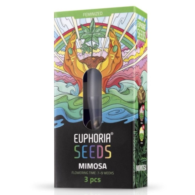 Euphoria Seeds Mimosa Gefeminiseerd