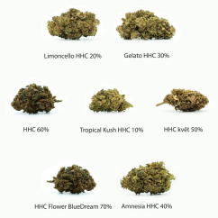 HHC Flowers Sample set - Tropical Kush 10%, Limoncello 20%, Gelato 30%, Amnesia 40%, Cheese 50%, OG Kush 60%, Blue Dream 70% - 7 x 1 g