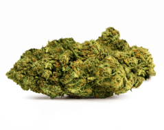 Canna b2b HHCPO bloem Super Lemon Haze, 4% HHCP, 30% HHC-O, 1 g - 1000 g