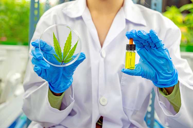 Een onderzoeker houdt een cannabisblad en THCJD-extract in een flacon